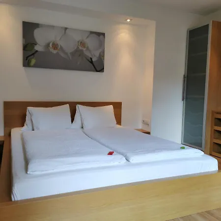 Guest house Haus Wildauer 3*