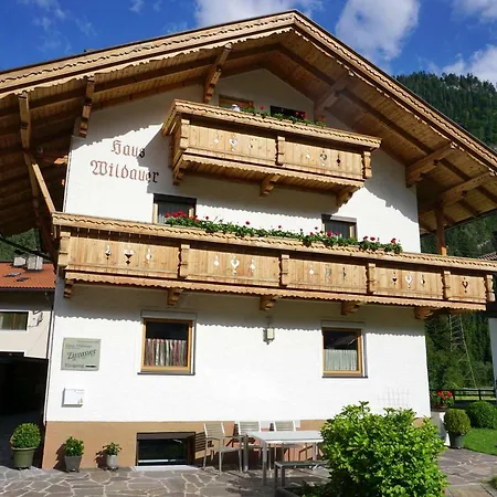 Haus Wildauer * マイヤーホーフェン