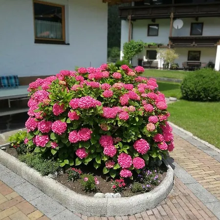 Haus Wildauer マイヤーホーフェン