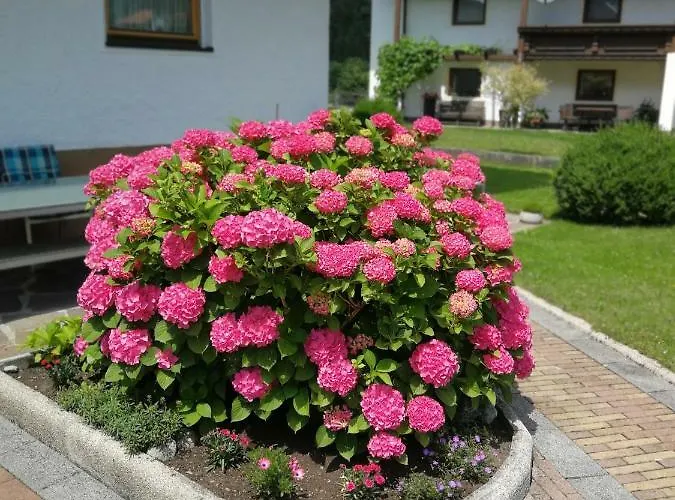 Haus Wildauer 迈尔霍芬